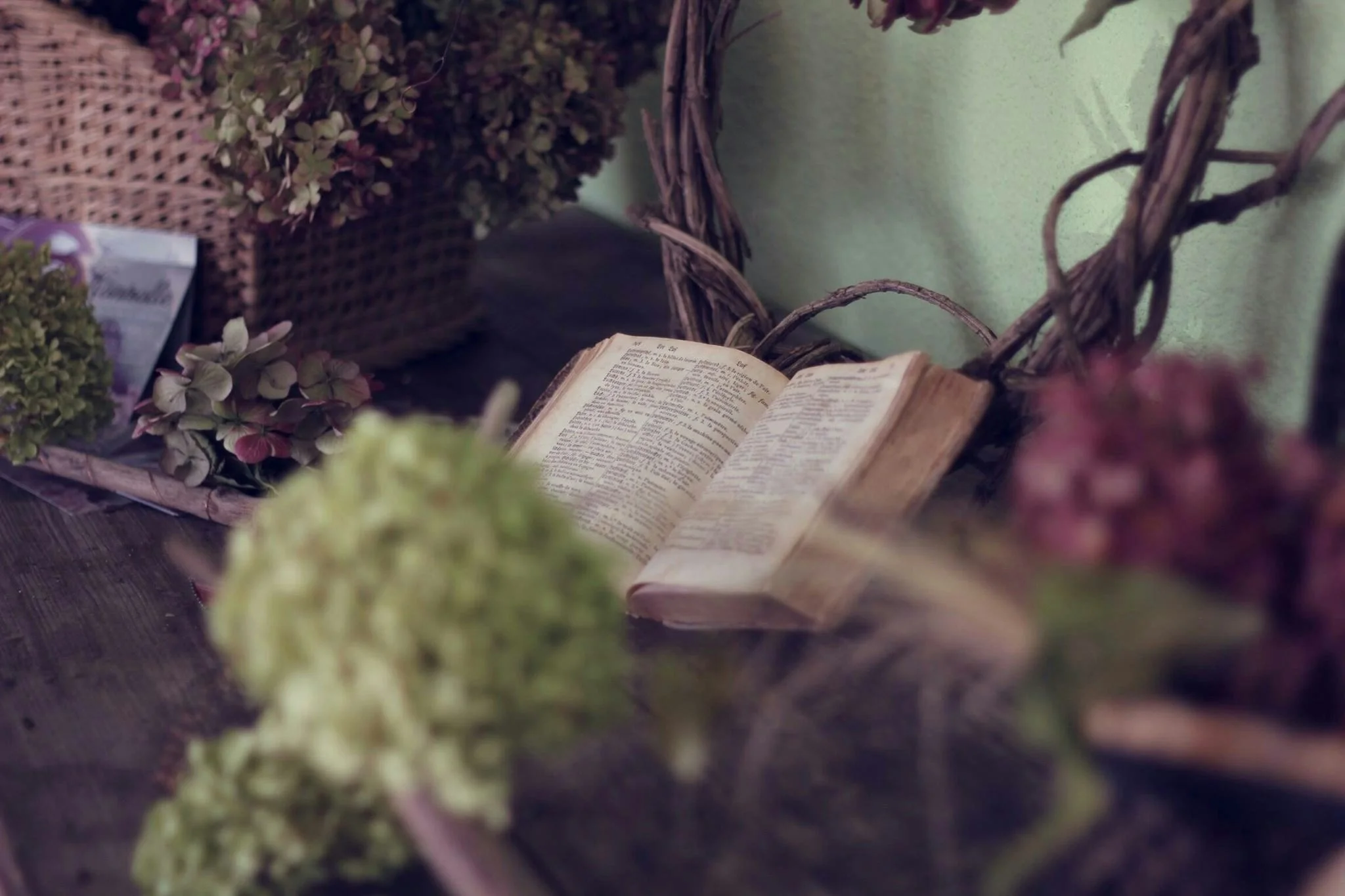 An open book on a dark wooden table surrounded by dried flower arrangements in baskets and pots, with a rustic vine-like decorative frame in the background.